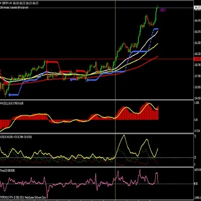 BHARAT HEDGE FUND FX SYSTEM