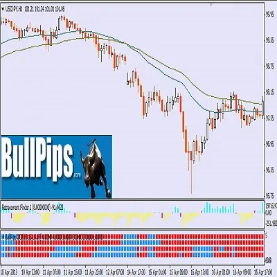 BULL PIPS SYSTEM