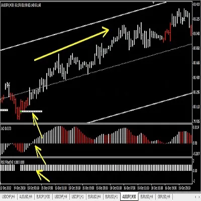 FOREX DIVERSITY SYSTEM