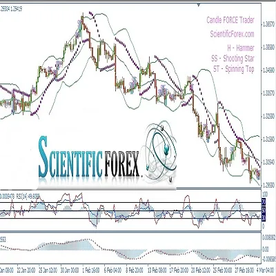 SCIENTIFIC FOREX