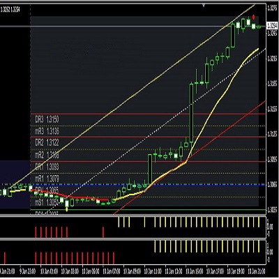 FOREX PRO TRADER