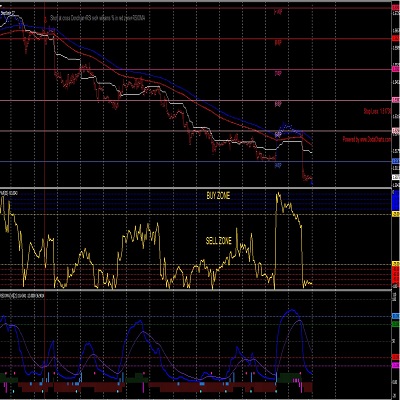 GOLD SYSTEM