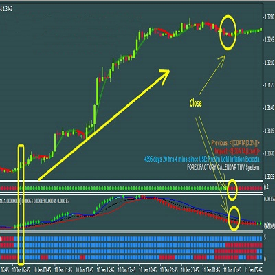 THE SCALPING SECRET
